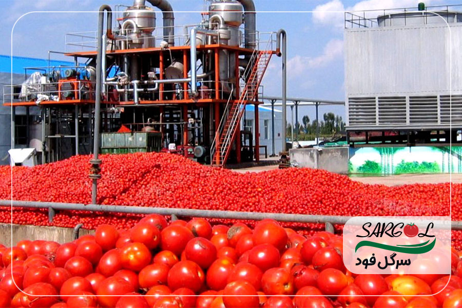 خرید رب گوجه درجه یک + قیمت ویژه