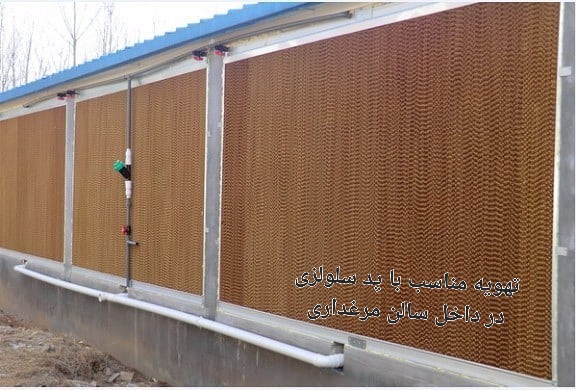 تصویر 1 از قیمت خرید پد سلولزی مرغداری در ایران
