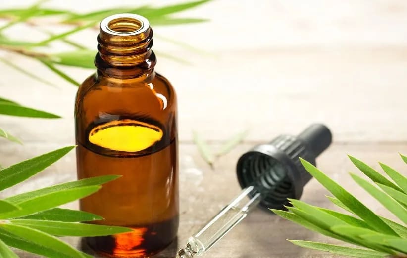 تصویر 3 از قیمت خرید روغن درخت چای + فروش ویژه