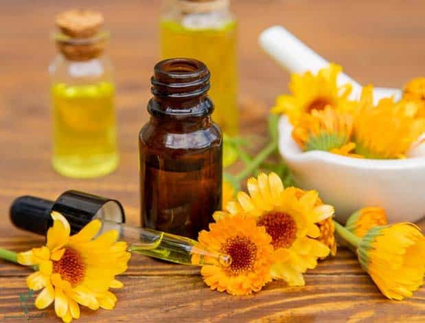 تصویر 1 از فروش عصاره همیشه بهار مایع گرید A