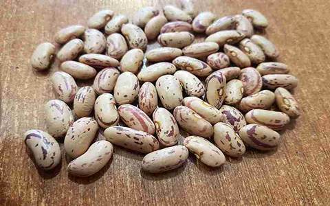 تصویر 5 از خرید لوبیا چیتی ایرانی + قیمت فروش استثنایی