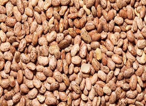 تصویر 4 از قیمت خرید لوبیا چیتی پلویی + فروش ویژه