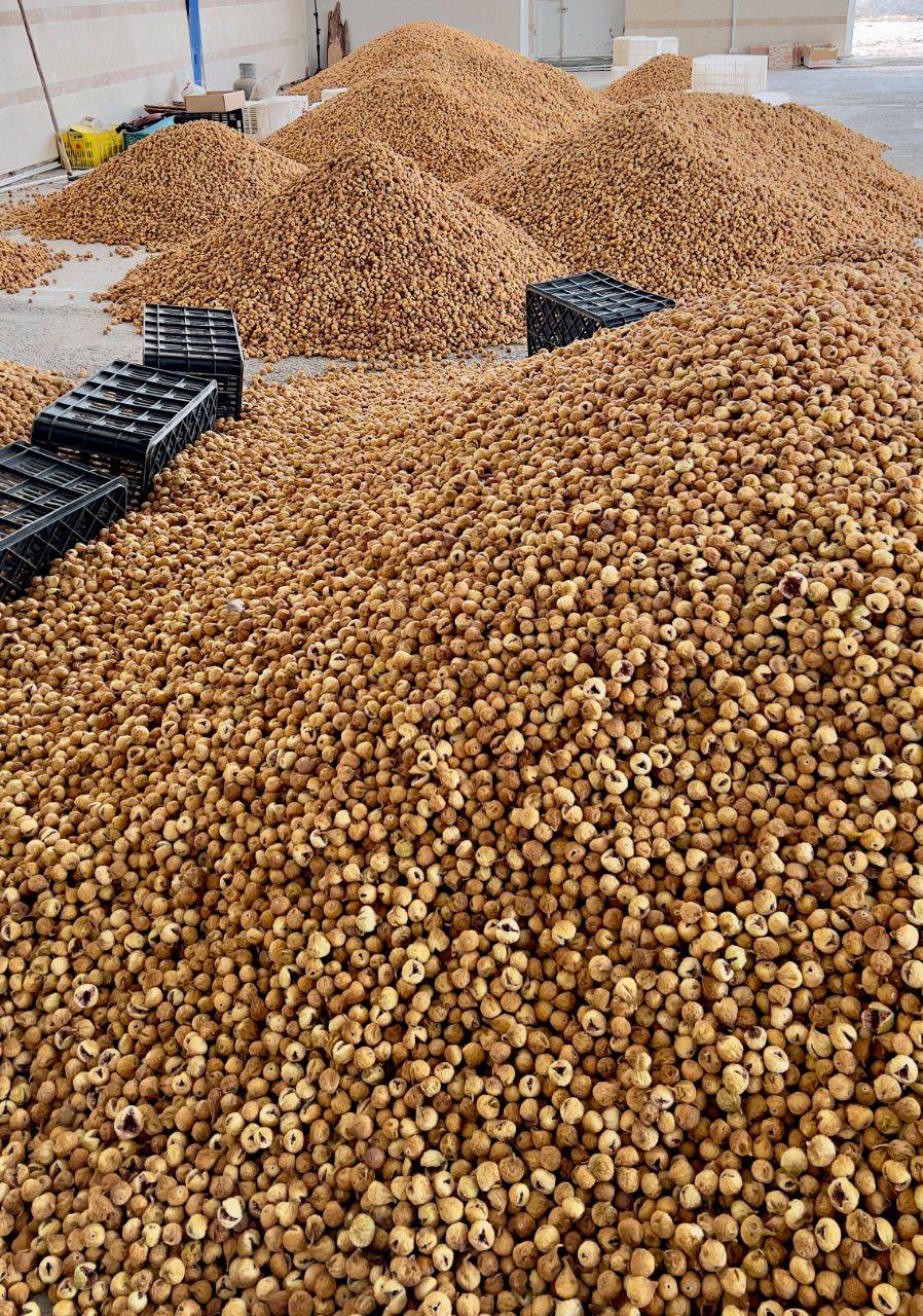 تصویر 2 از خرید انجیر 3A با قیمتی منصفانه