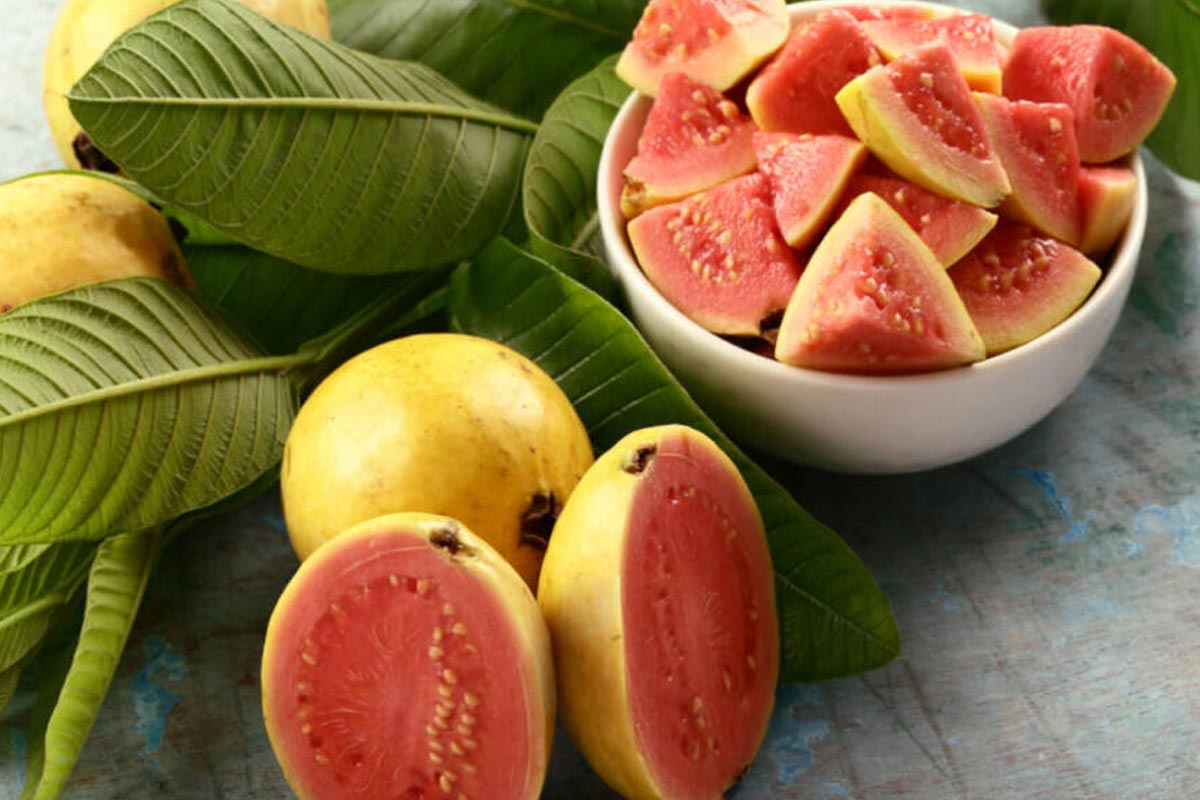 تصویر 1 از قیمت گواوا عمده + فروش گواوا تازه