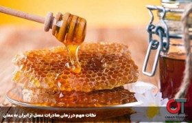 تصویر 1 از فروش آنلاین عسل طبیعی با موم