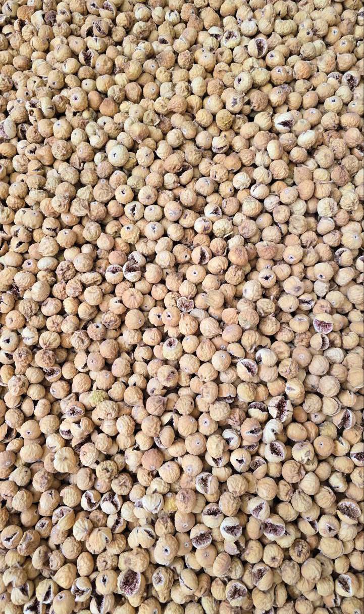 خرید انجیر خشک صادراتی + بدون واسطه