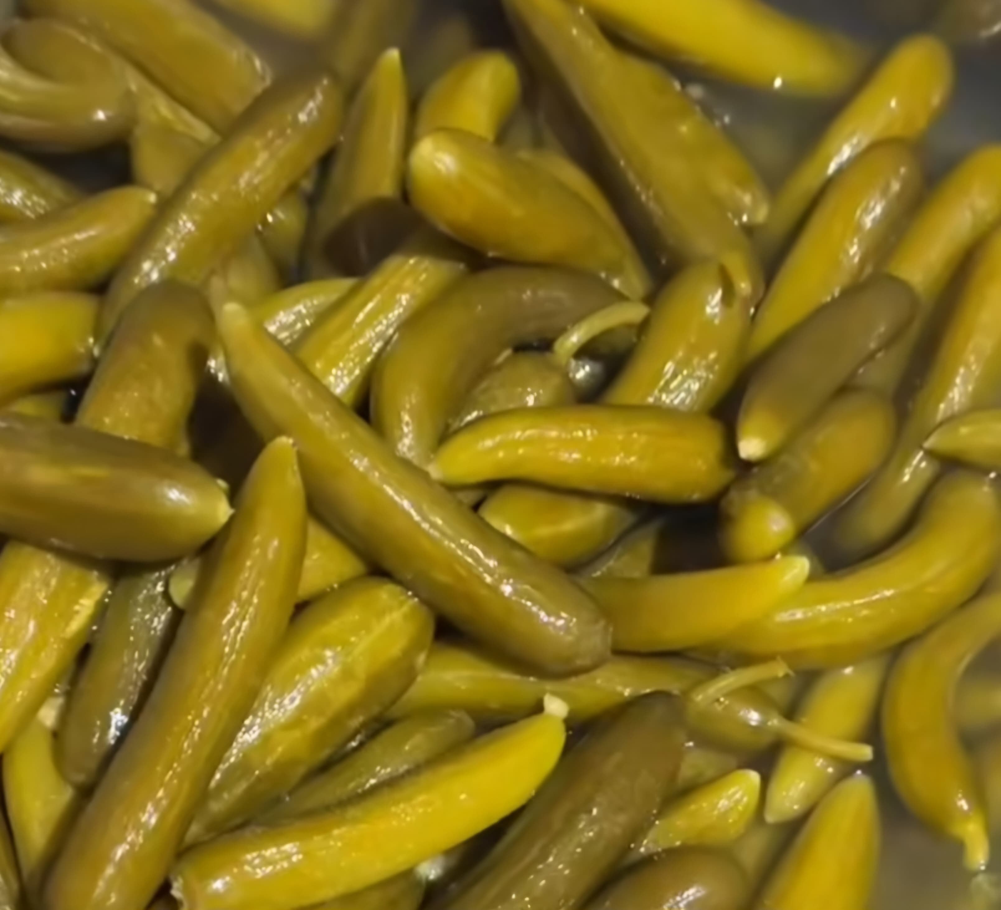 تصویر 3 از قیمت عمده خیارشور شیروان + با کیفیت و مقرون به صرفه