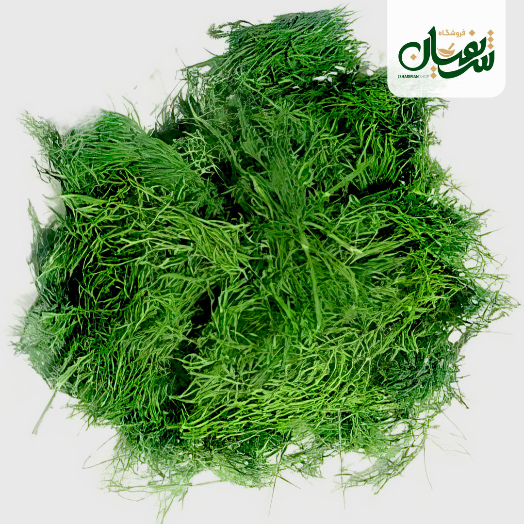 تصویر 3 از فروش فوق العاده شوید خشک با سود بسیار زیاد