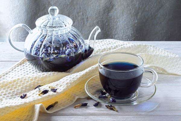 تصویر 1 از قیمت خرید گل گاوزبان + فروش ویژه