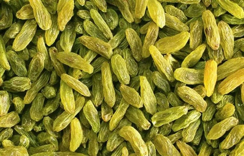 تصویر 2 از قیمت کشمش سبز