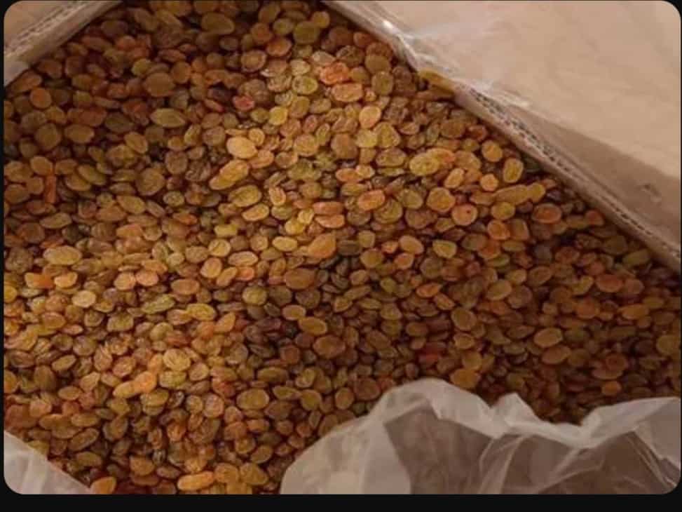 تصویر 4 از خرید کشمش آفتابی + قیمت فروش استثنایی