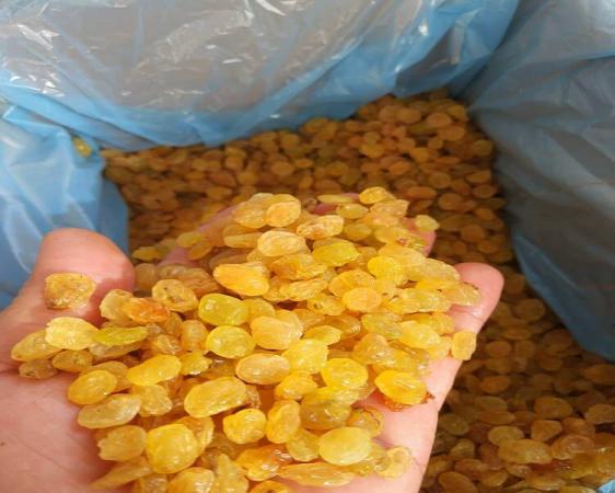 تصویر 2 از قیمت خرید کشمش بسته بندی + فروش ویژه