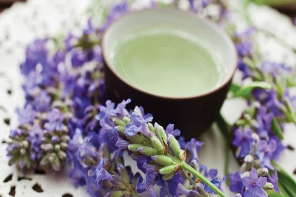 تصویر 3 از قیمت دمنوش اسطوخودوس + خرید باور نکردنی