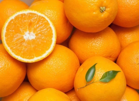 تصویر 1 از قیمت خرید پرتقال ناول + فروش ویژه