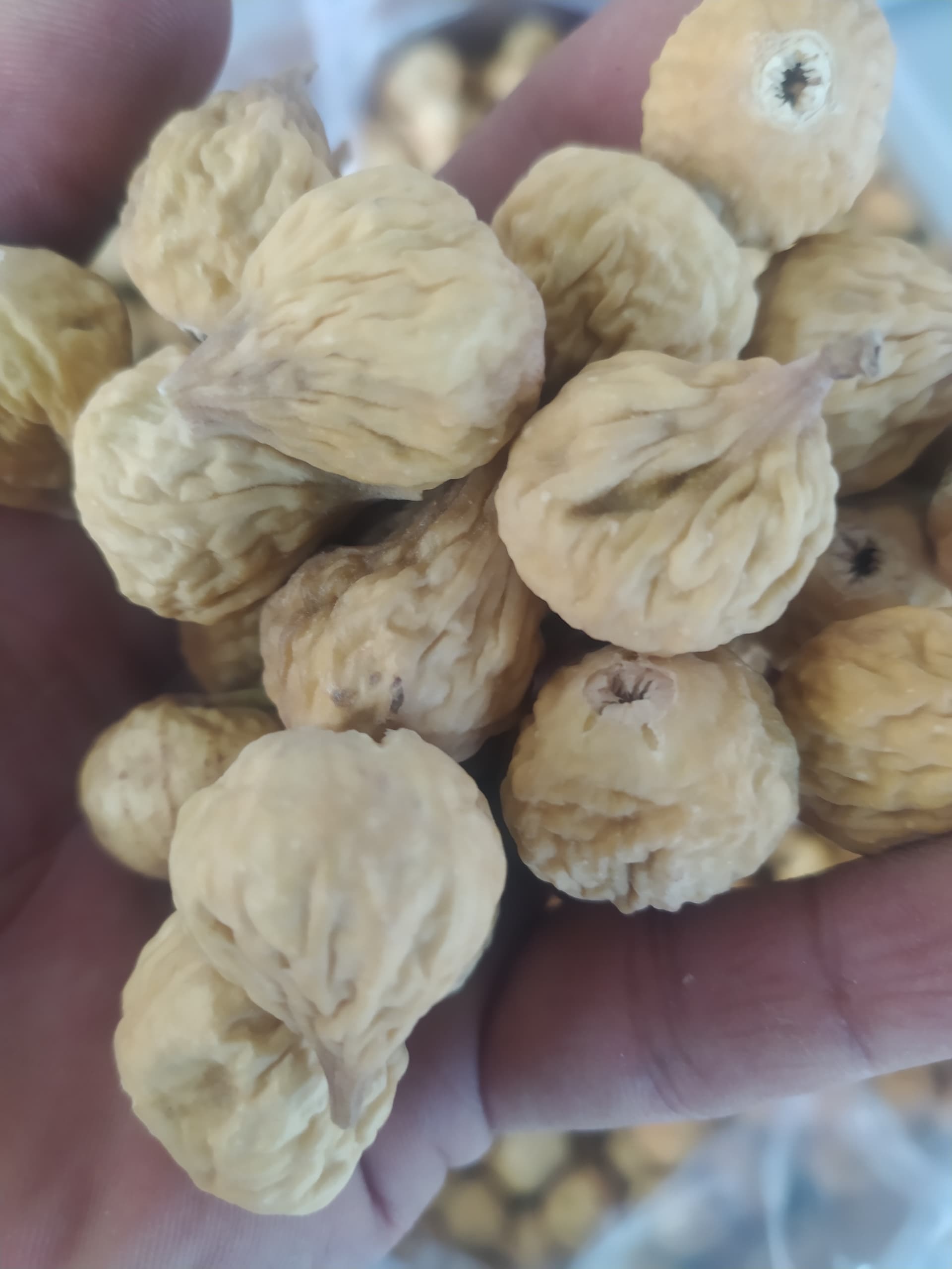 خرید و فروش انجیر سوپر متوسط + با کیفیت و ارزان