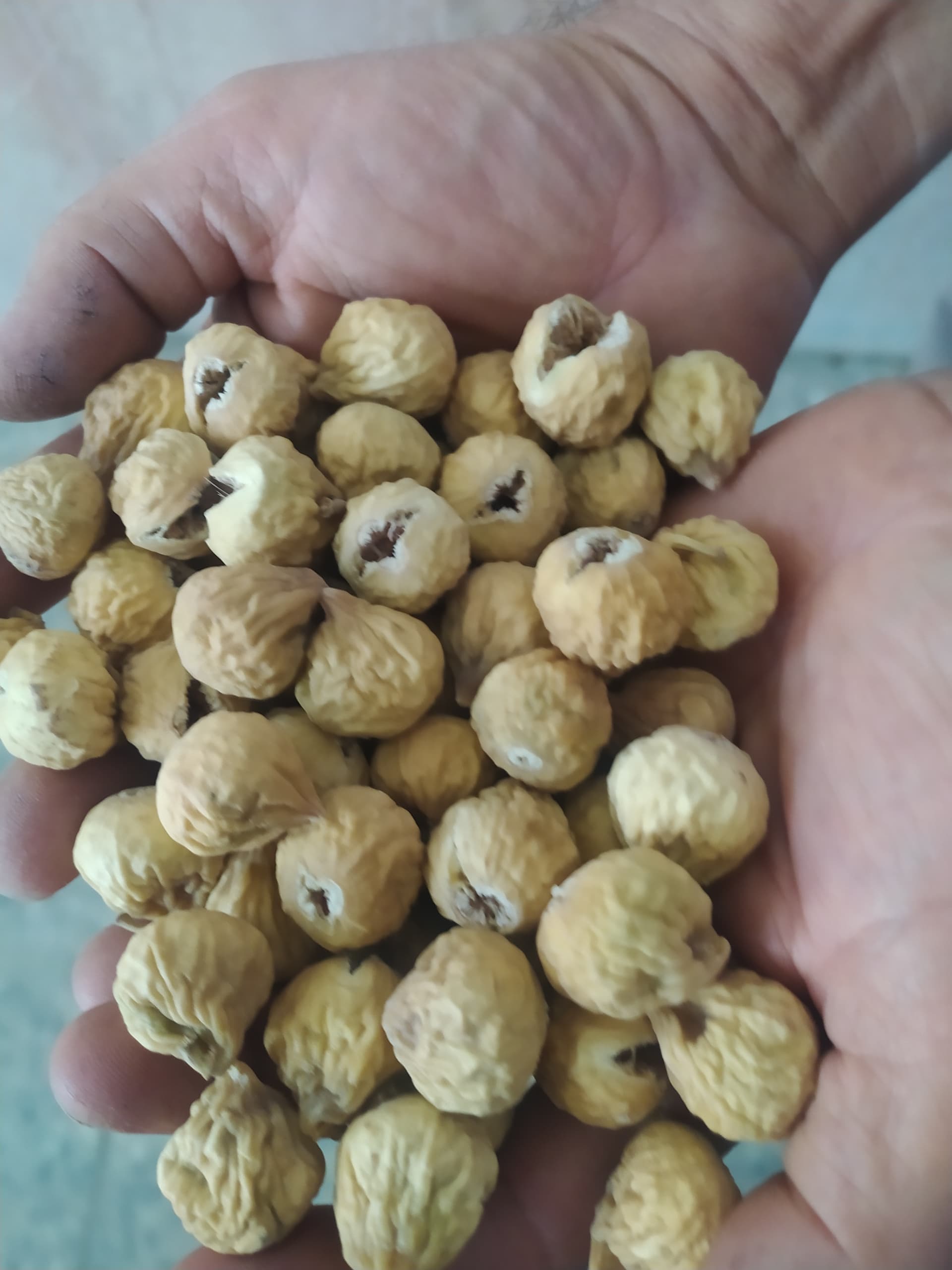 تصویر 1 از خرید و فروش انجیر سوپر متوسط + با کیفیت و ارزان
