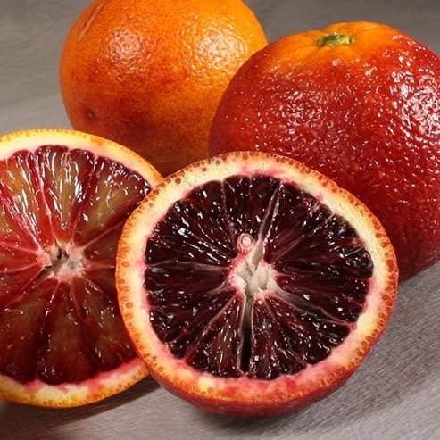 تصویر 4 از قیمت خرید پرتقال خونی + فروش ویژه