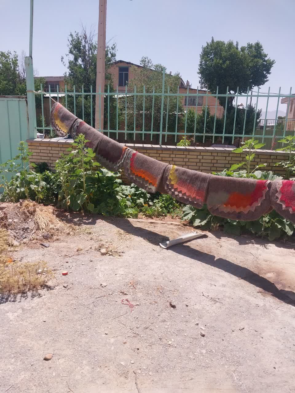 تصویر 1 از عرق گیر نمدی اسب
