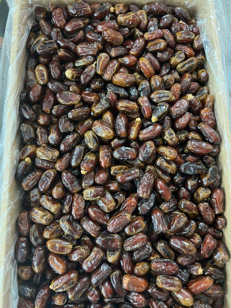 تصویر 2 از قیمت عمده خرما استعمران درجه یک + تخفیف ویژه