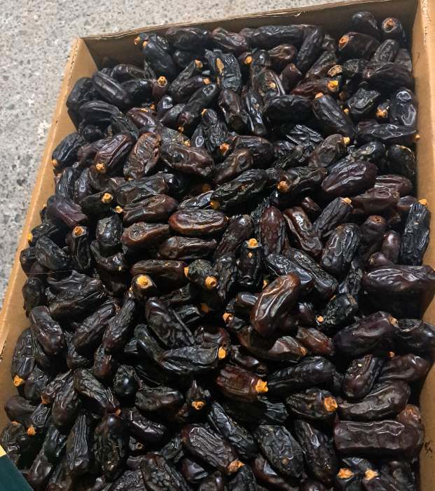 تصویر 1 از قیمت عمده خرما ربی بلوچستان + خرید از باغدار