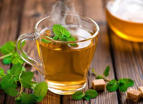 تصویر 4 از خرید و قیمت دمنوش های گیاهی + فروش عمده