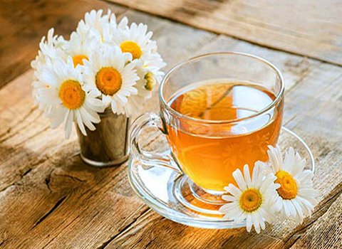 فروش دمنوش بابونه