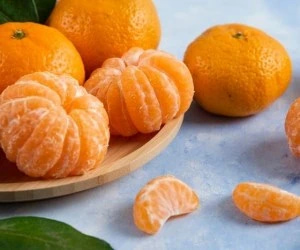 تصویر 3 از قیمت خرید نارنگی شیراز + فروش ویژه