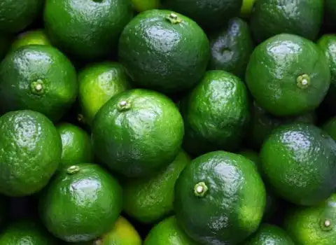 تصویر 1 از قیمت خرید نارنگی سبز + فروش ویژه