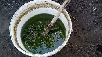 کود مرغی مایع شوک با فرمول تغذیه‌ ای پایدار برای تقویت بستر زراعی