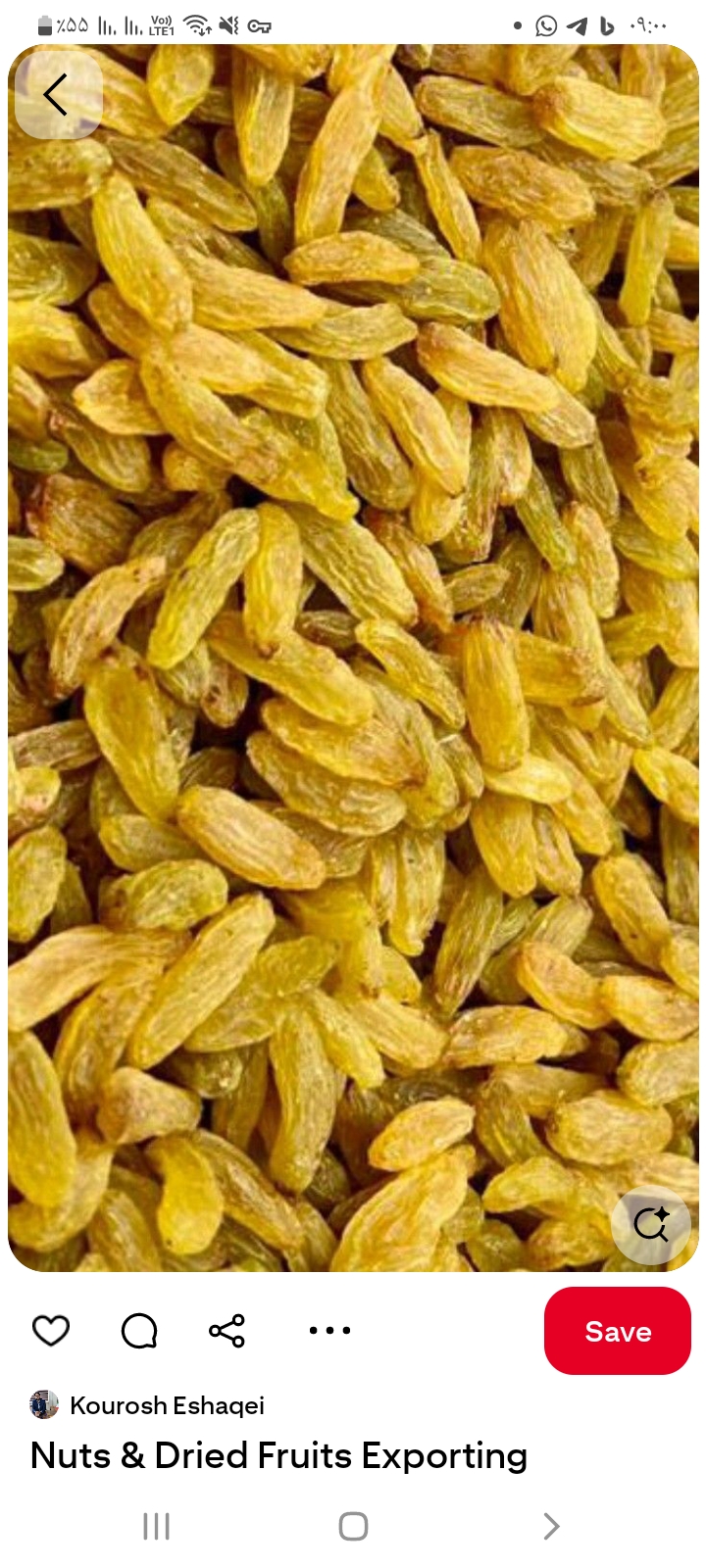 تصویر 1 از خرید کشمش طلایی خلیل آباد + صادرات کشمش