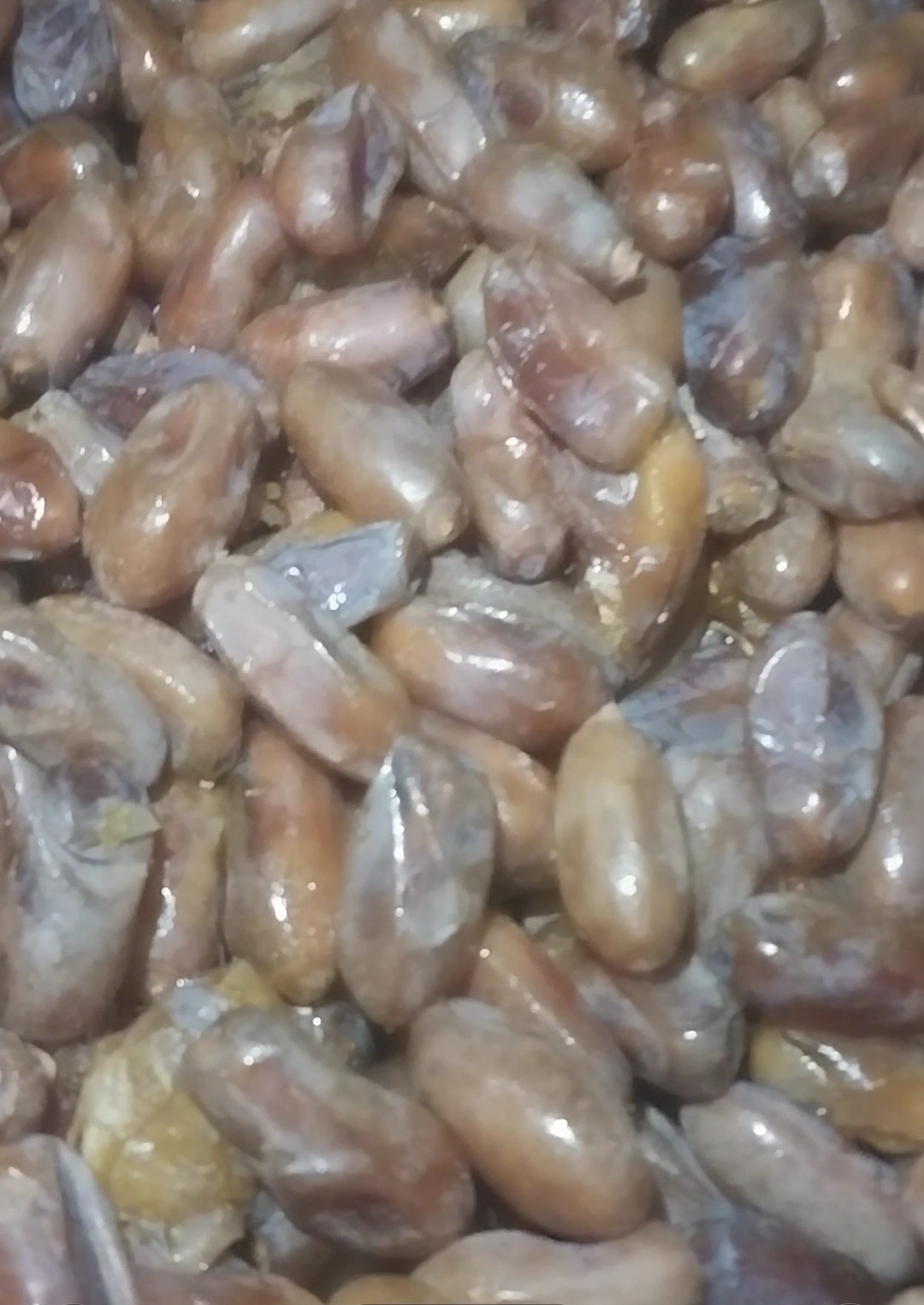 فروش عمده خرما شاهانی صادراتی