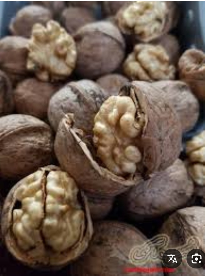 خرید فروش عمده گردوی اذر شهر یک فرصت سرمایه گذاری برای عمده فروشان
