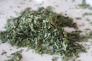 تصویر 1 از خرید نعنا خشک کوهی + فروش عمده