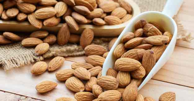 تصویر 3 از خرید بادام درختی مامایی + قیمت فروش عمده