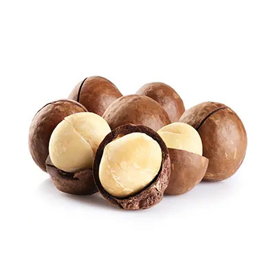 تصویر 2 از خرید فندق ماکادمیا + قیمت فروش عمده