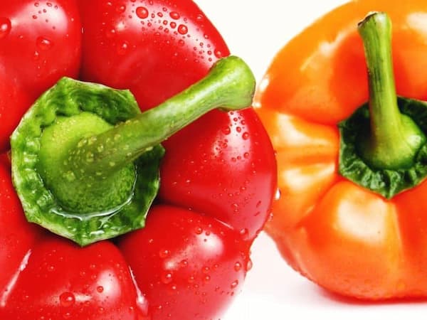 تصویر 6 از فلفل دلمه ای رنگی درجه ۱ لوکس اصفهان