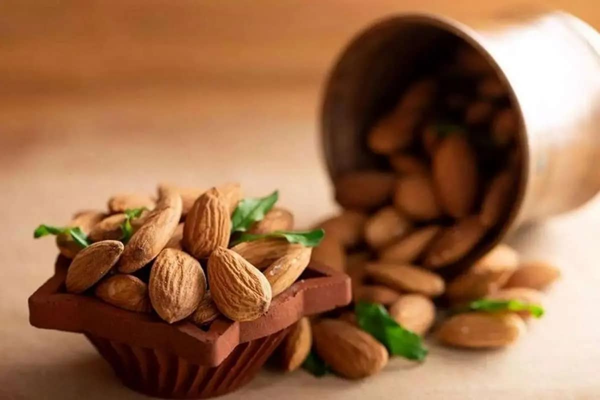 تصویر 3 از خرید و قیمت بادام درختی سنجابک + فروش عمده