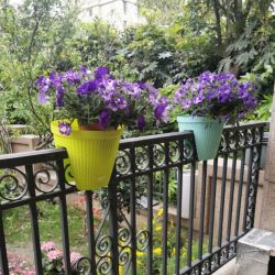 تصویر 2 از خرید گلدان های پلاستیکی برای بهینه‌ سازی مدیریت آب و کاهش ریسک نشت