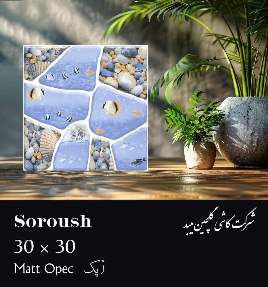 تصویر 1 از قیمت خرید سرامیک ۳۰ × ۳۰ سرویس بهداشتی