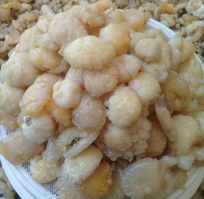 تصویر 2 از آنغوزه وحشی و کمیاب با قیمت رقابتی + برای صادرات به چین و هند