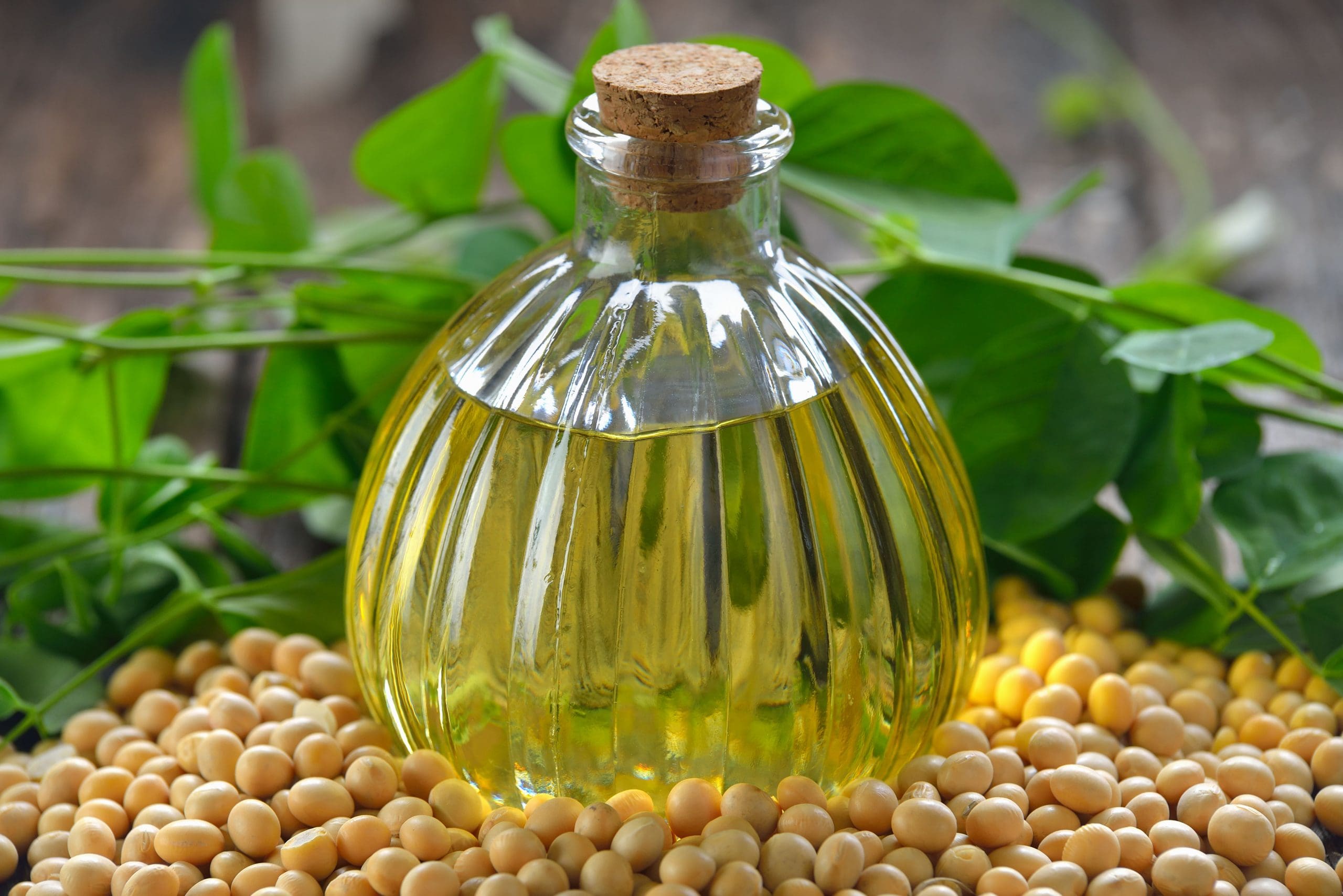 تصویر 5 از قیمت خرید روغن خام سویا فله + فروش ویژه