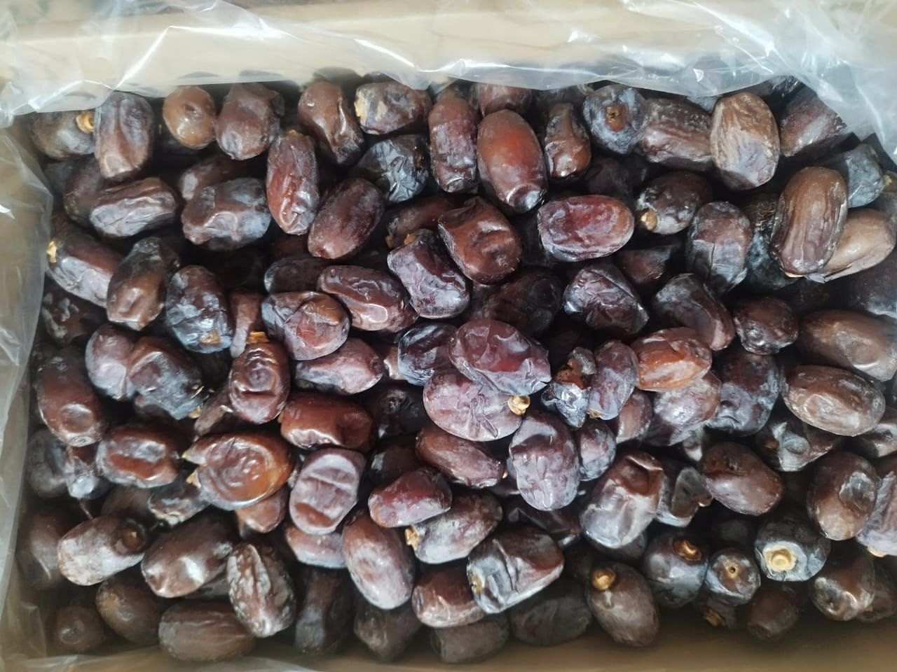 تصویر 3 از فروش عمده خرمای کلوته روغن زده رودبار بسته بندی صادراتی