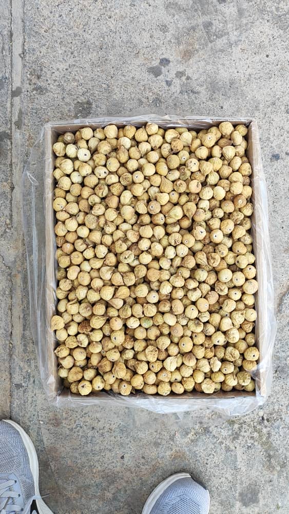 تصویر 1 از خرید اینترنتی انجیر خشک زرد درشت با بهترین کیفیت صادراتی