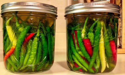 تصویر 5 از خرید و فروش ترشی فلفل کامروز با کیفیت + فروش ویژه
