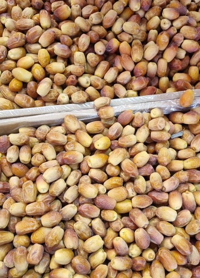 تصویر 1 از فروش ویژه خرما زاهدی