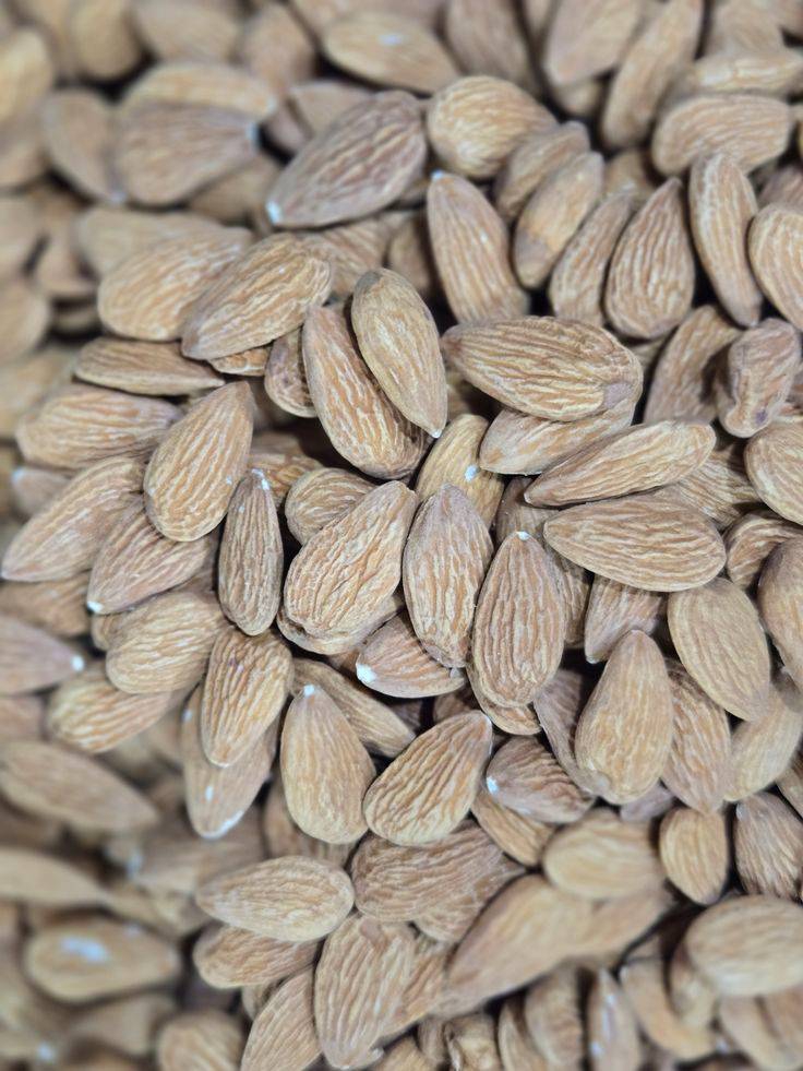 تصویر 2 از عرضه مغز بادام مامایی ۱2۰ دانه با کیفیت صادراتی + فروش عمده