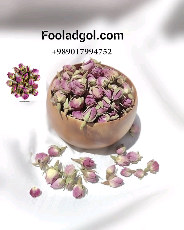 صادر کننده عمده غنچه خشک گل محمدی با شرکت فولاد گل + قیمت ویژه