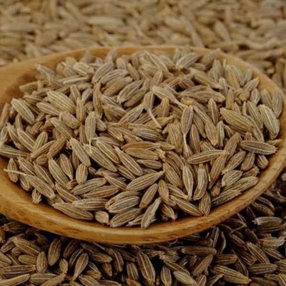 تصویر 5 از زیره وحشی درجه دارویی آسیاب ملایم + قیمت صادراتی عمده