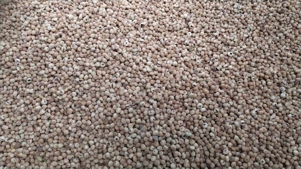 تصویر 1 از خرید انجیر خشک مخلوط درجه یک از بهترین باغ های ایران