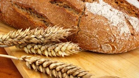 تصویر 1 از خرید گلوتن گندم با کیفیت صادراتی + بسته‌ بندی‌ استاندارد